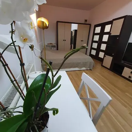 Cream Apartament *